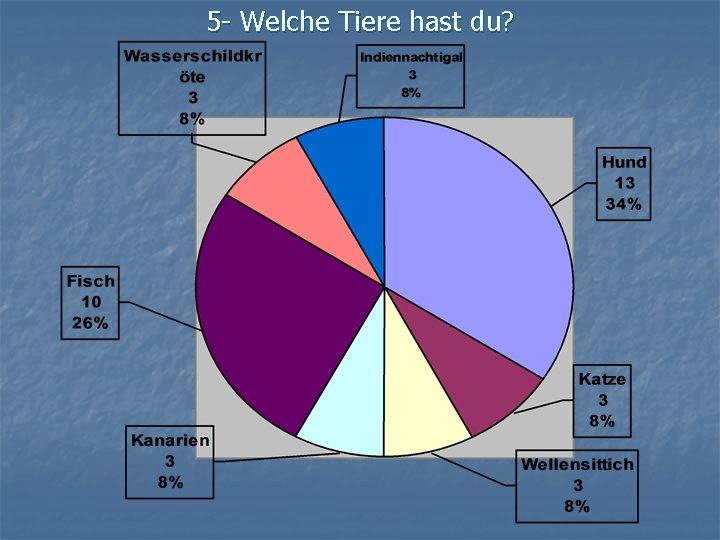 5 - Welche Tiere hast du? 