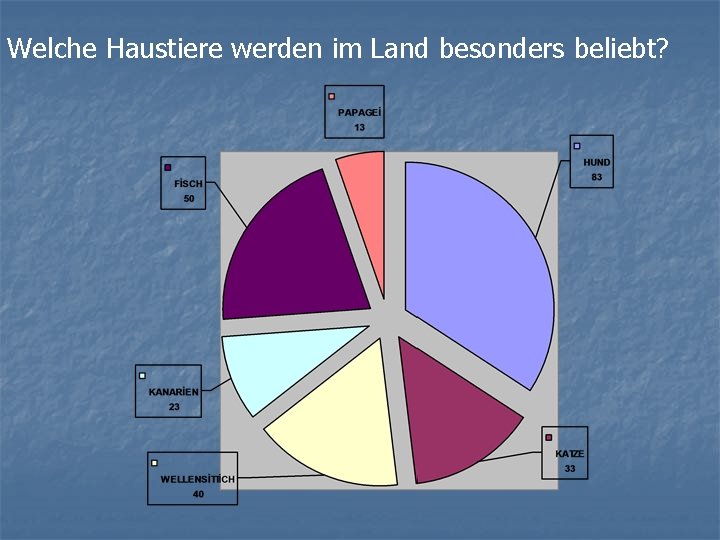 Welche Haustiere werden im Land besonders beliebt? 