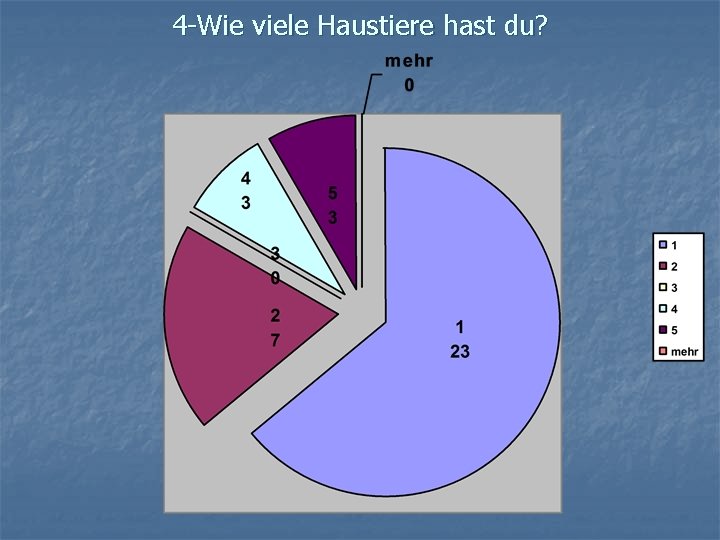 4 -Wie viele Haustiere hast du? 