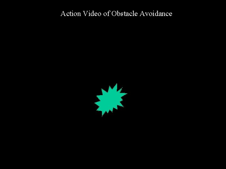 Action Video of Obstacle Avoidance 