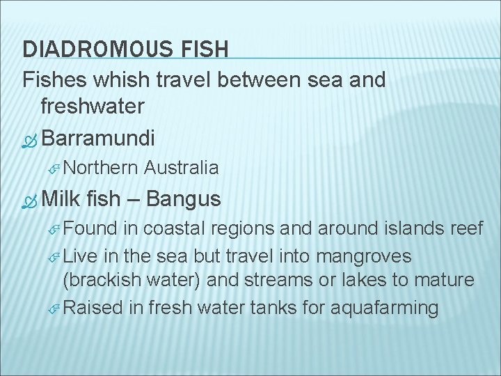 DIADROMOUS FISH Fishes whish travel between sea and freshwater Barramundi Northern Milk Australia fish