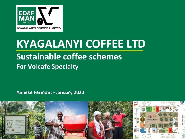 KYAGALANYI COFFEE LTD Sustainable coffee schemes For Volcafe Specialty Anneke Fermont - January 2020