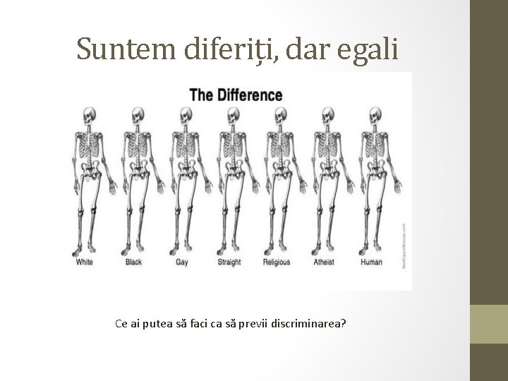 Suntem diferiți, dar egali Ce ai putea să faci ca să previi discriminarea? 