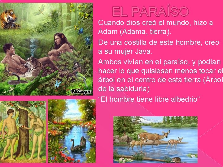 EL PARAÍSO Cuando dios creó el mundo, hizo a Adam (Adama, tierra). � De