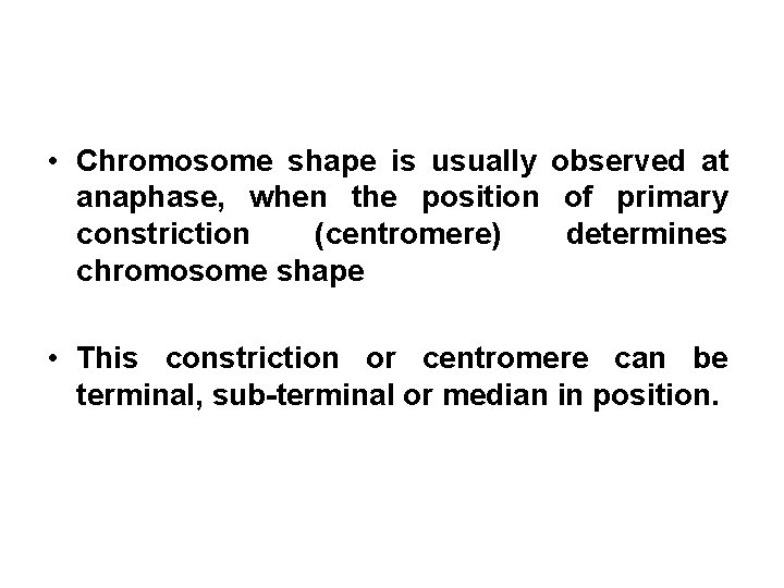  • Chromosome shape is usually observed at anaphase, when the position of primary