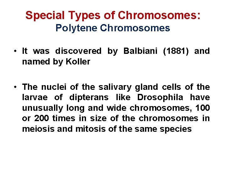 Special Types of Chromosomes: Polytene Chromosomes • It was discovered by Balbiani (1881) and