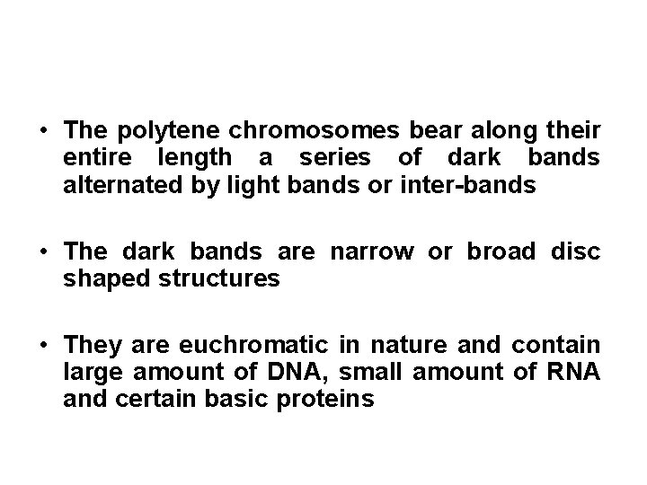  • The polytene chromosomes bear along their entire length a series of dark