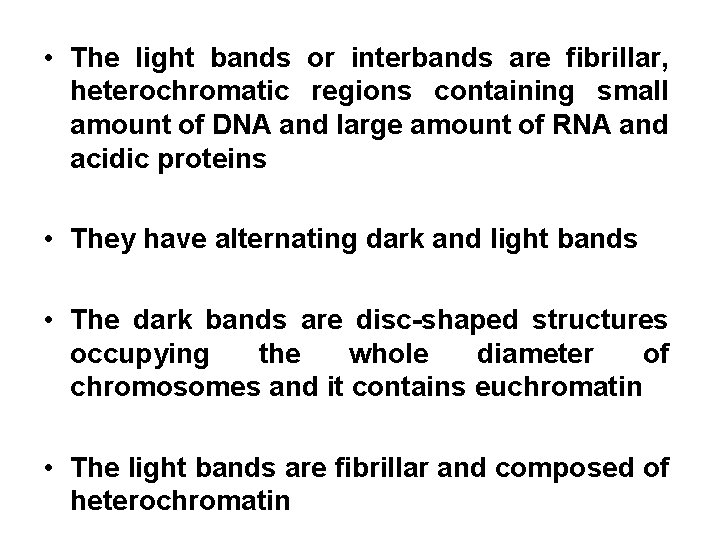  • The light bands or interbands are fibrillar, heterochromatic regions containing small amount