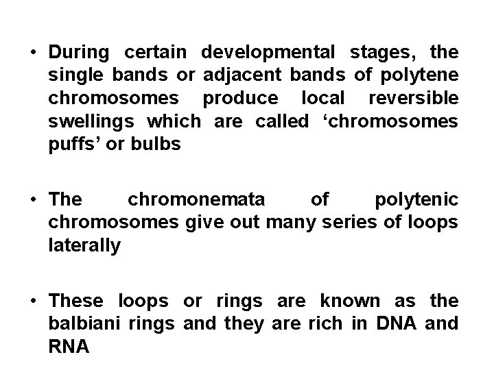  • During certain developmental stages, the single bands or adjacent bands of polytene
