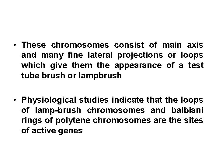  • These chromosomes consist of main axis and many fine lateral projections or