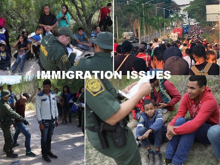 IMMIGRATION ISSUES 