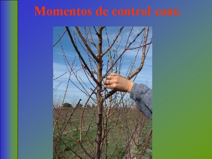 Momentos de control cont. 