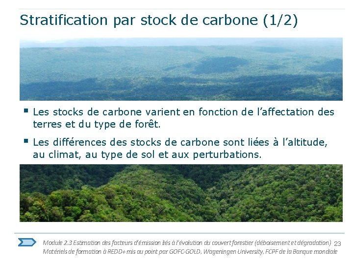 Stratification par stock de carbone (1/2) § Les stocks de carbone varient en fonction