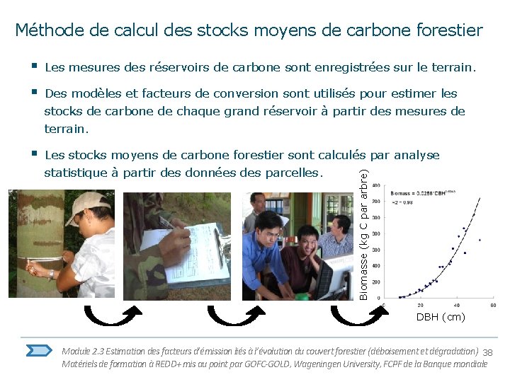 Méthode de calcul des stocks moyens de carbone forestier Les mesures des réservoirs de