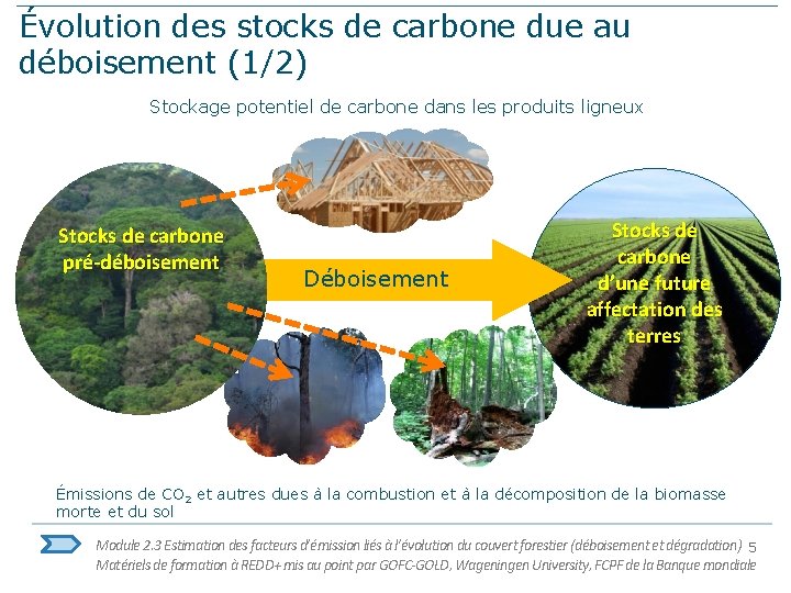 Évolution des stocks de carbone due au déboisement (1/2) Stockage potentiel de carbone dans