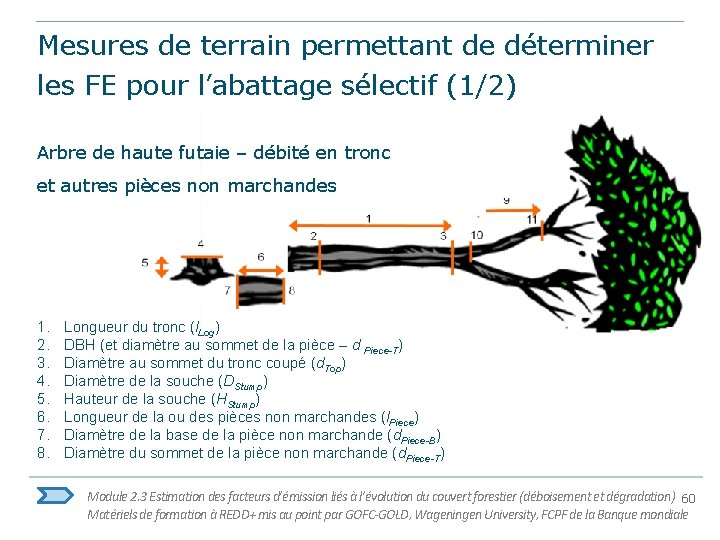 Mesures de terrain permettant de déterminer les FE pour l’abattage sélectif (1/2) Arbre de