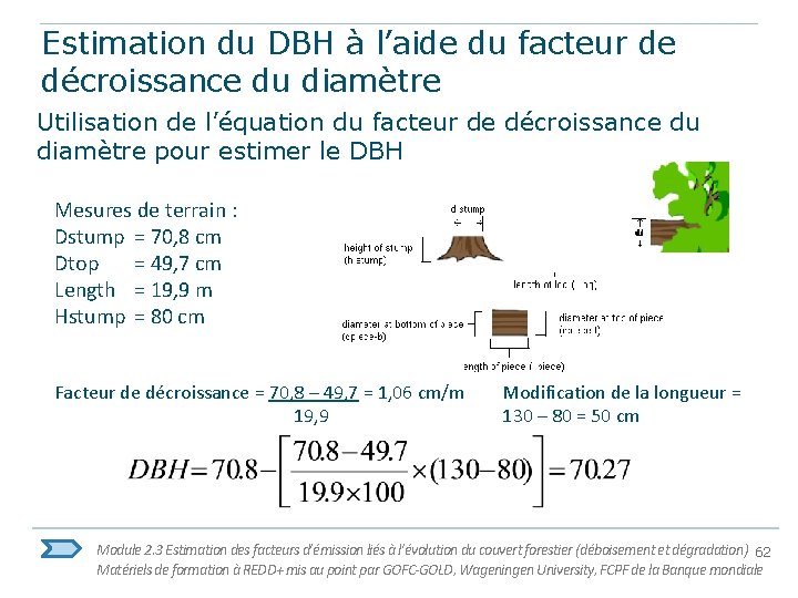 Estimation du DBH à l’aide du facteur de décroissance du diamètre Utilisation de l’équation