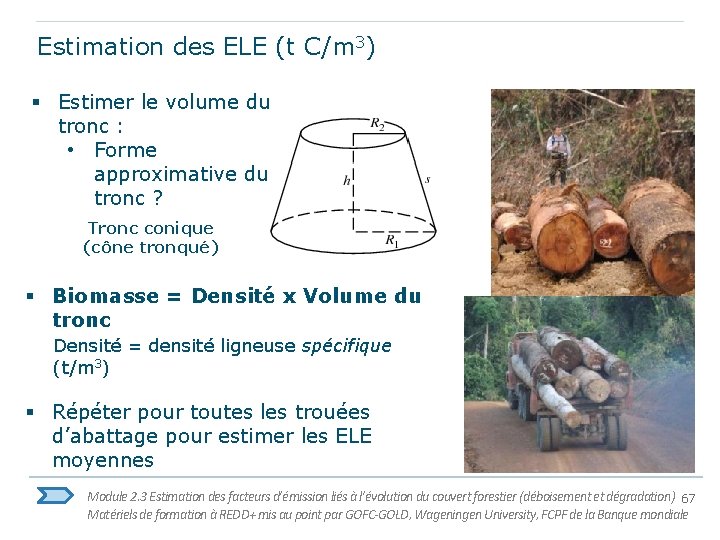 Estimation des ELE (t C/m 3) § Estimer le volume du tronc : •