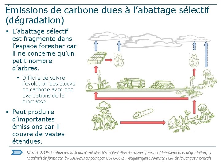 Émissions de carbone dues à l’abattage sélectif (dégradation) § L’abattage sélectif est fragmenté dans