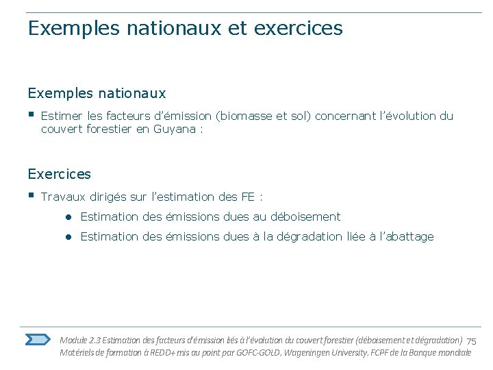 Exemples nationaux et exercices Exemples nationaux § Estimer les facteurs d’émission (biomasse et sol)