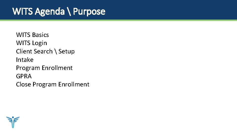 WITS Agenda  Purpose WITS Basics WITS Login Client Search  Setup Intake Program