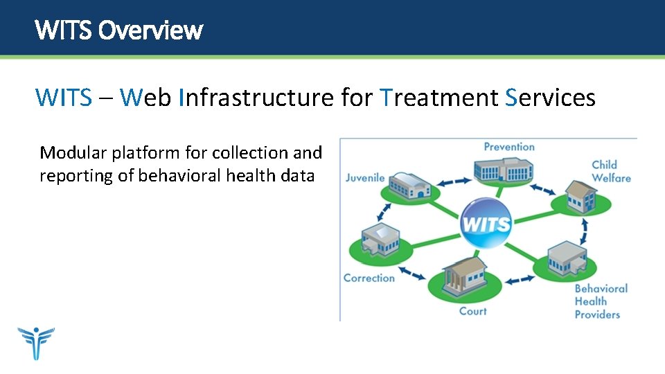 WITS Overview WITS – Web Infrastructure for Treatment Services Modular platform for collection and