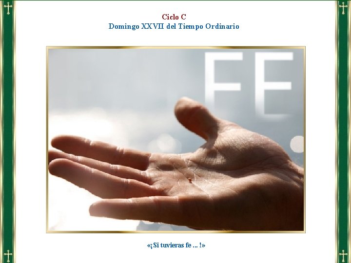 Ciclo C Domingo XXVII del Tiempo Ordinario «¡Si tuvieras fe. . . !» 