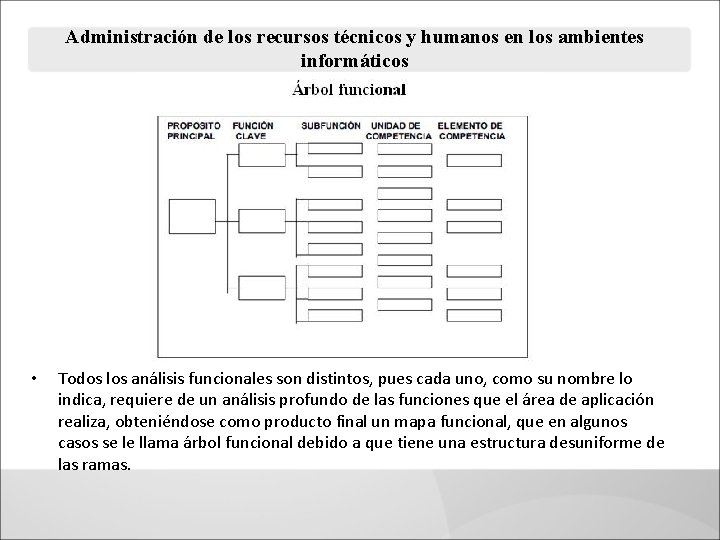 Administración de los recursos técnicos y humanos en los ambientes informáticos • Todos los