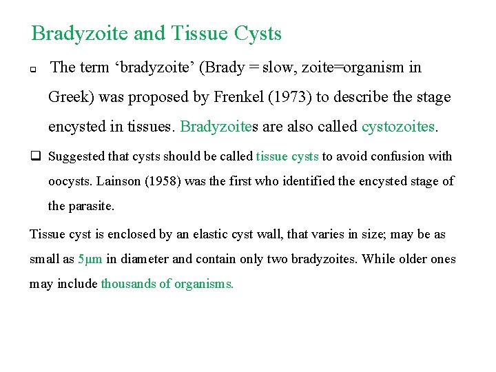 Bradyzoite and Tissue Cysts q The term ‘bradyzoite’ (Brady = slow, zoite=organism in Greek)
