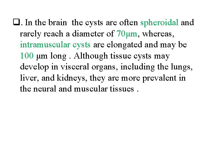 q. In the brain the cysts are often spheroidal and rarely reach a diameter