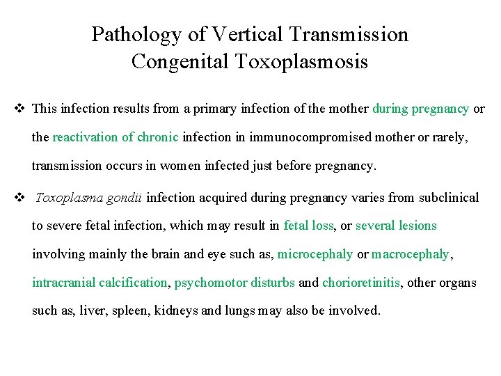 Pathology of Vertical Transmission Congenital Toxoplasmosis v This infection results from a primary infection