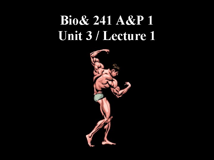 Bio& 241 A&P 1 Unit 3 / Lecture 1 