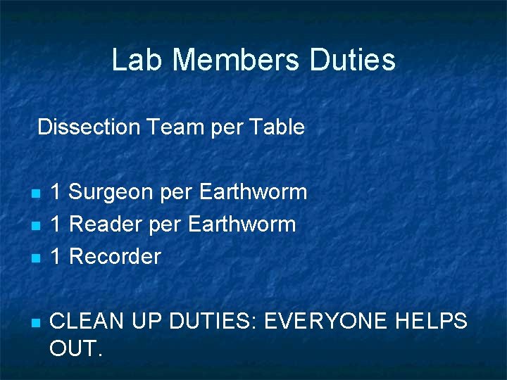 Lab Members Duties Dissection Team per Table n n 1 Surgeon per Earthworm 1