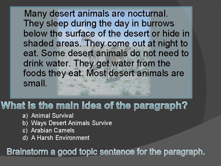 Many desert animals are nocturnal. They sleep during the day in burrows below the