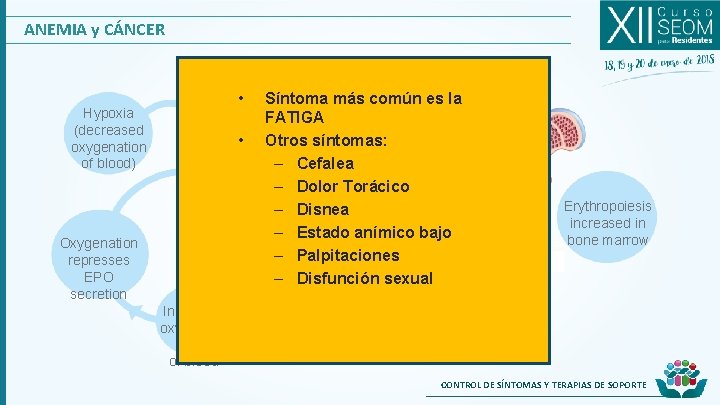 ANEMIA y CÁNCER • Hypoxia (decreased oxygenation of blood) • Oxygenation represses EPO secretion