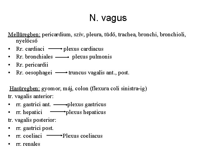N. vagus Mellüregben: pericardium, szív, pleura, tüdő, trachea, bronchioli, nyelőcső • Rr. cardiaci plexus