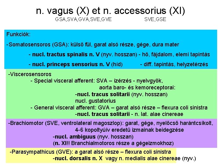 n. vagus (X) et n. accessorius (XI) GSA, SVA, GVA, SVE, GVE SVE, GSE