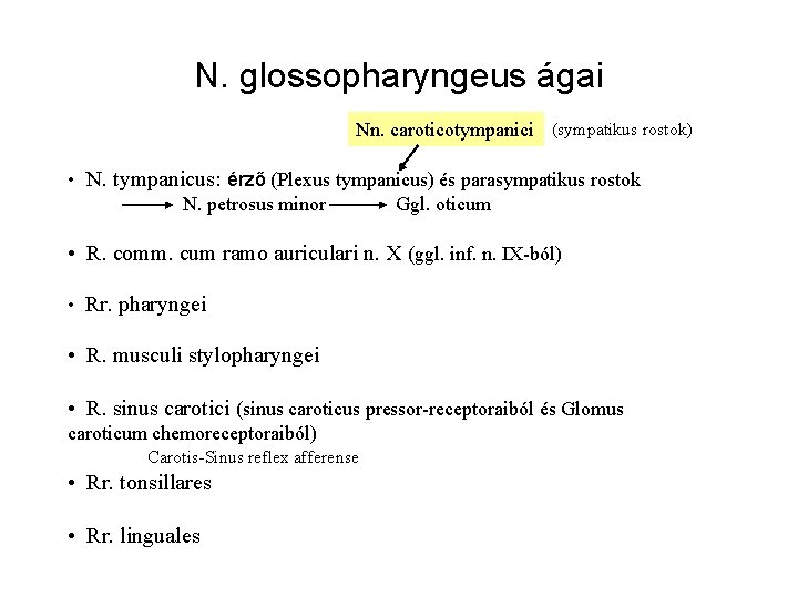 N. glossopharyngeus ágai Nn. caroticotympanici (sympatikus rostok) • N. tympanicus: érző (Plexus tympanicus) és