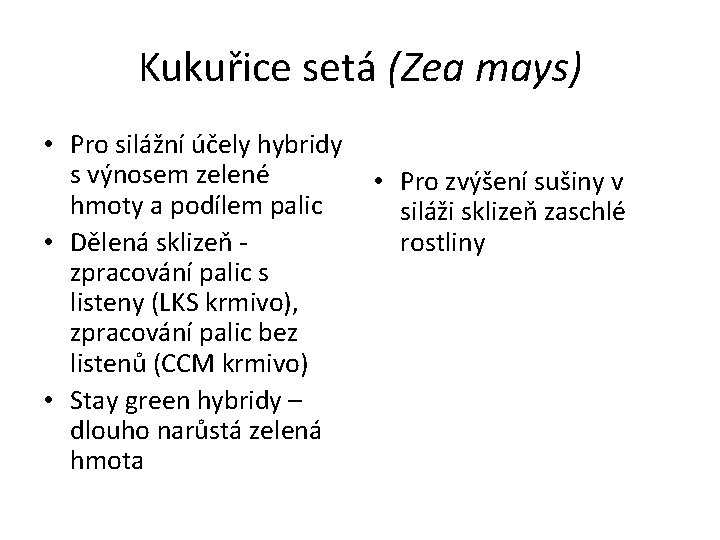 Kukuřice setá (Zea mays) • Pro silážní účely hybridy s výnosem zelené hmoty a