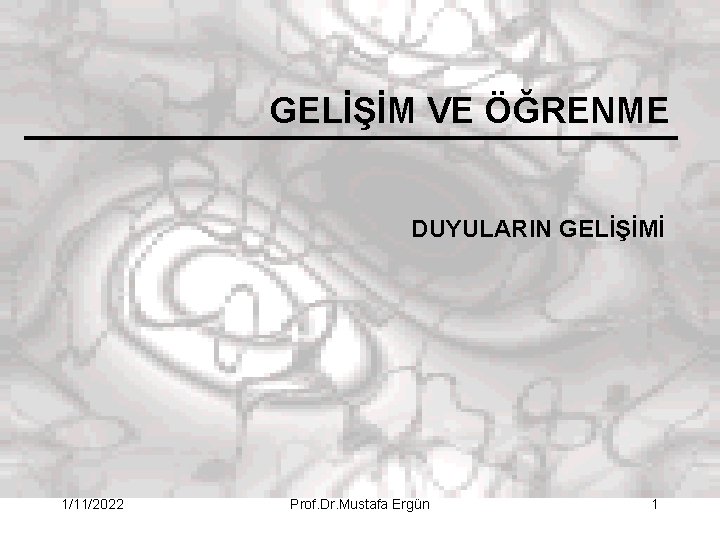 GELİŞİM VE ÖĞRENME DUYULARIN GELİŞİMİ 1/11/2022 Prof. Dr. Mustafa Ergün 1 