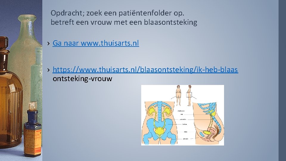 Opdracht; zoek een patiëntenfolder op. betreft een vrouw met een blaasontsteking › Ga naar