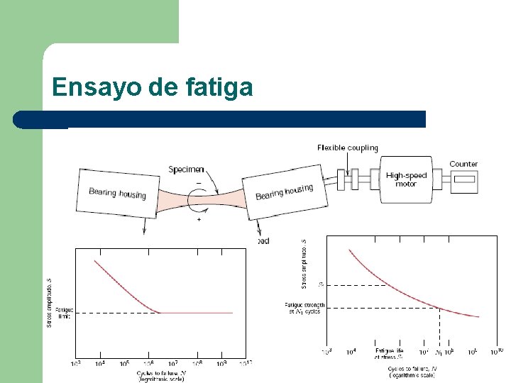 Ensayo de fatiga 