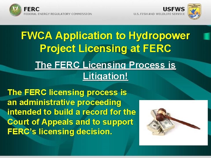 FWCA Application to Hydropower Project Licensing at FERC The FERC Licensing Process is Litigation!
