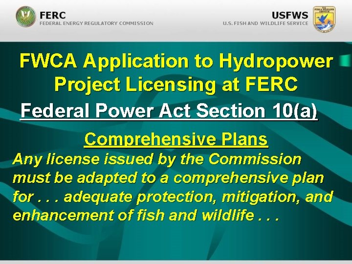 FWCA Application to Hydropower Project Licensing at FERC Federal Power Act Section 10(a) Comprehensive