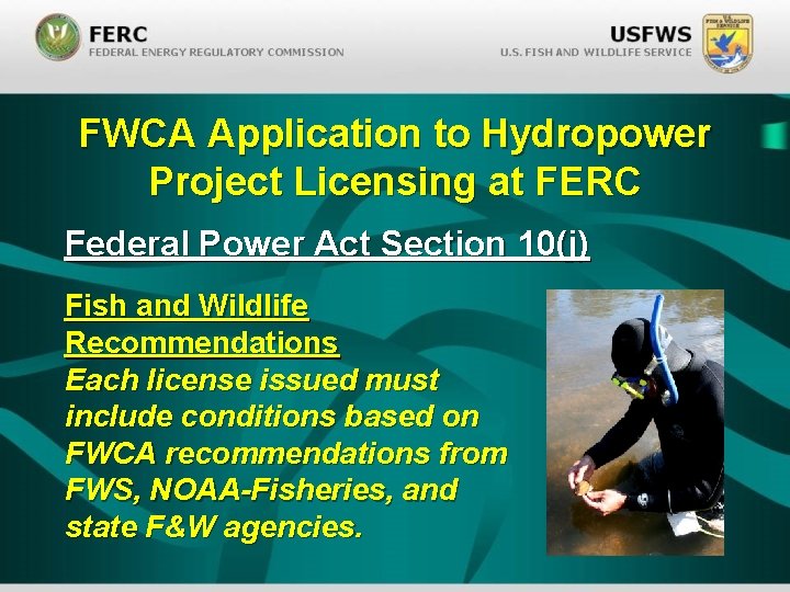 FWCA Application to Hydropower Project Licensing at FERC Federal Power Act Section 10(j) Fish