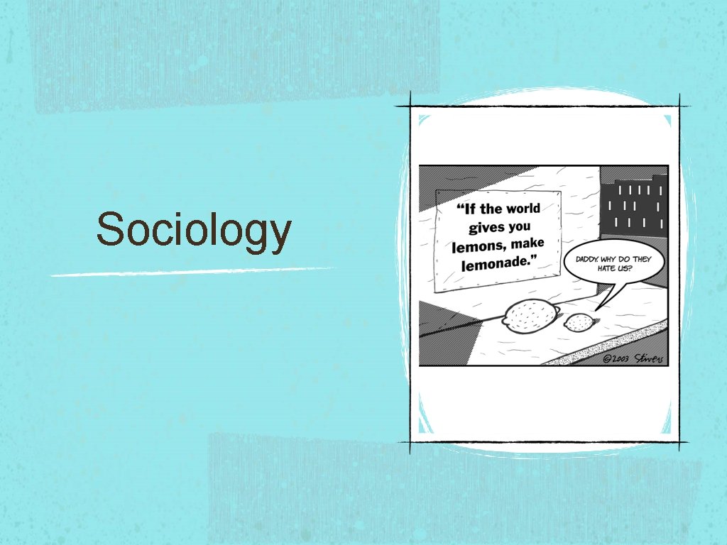 Sociology 