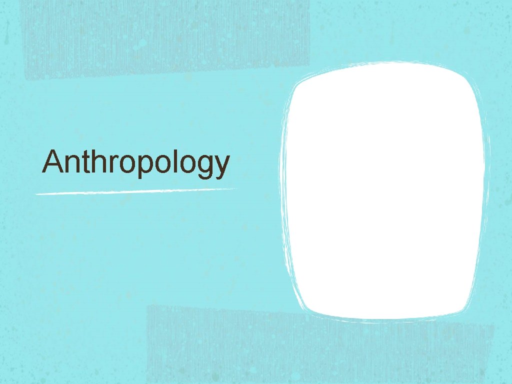 Anthropology 