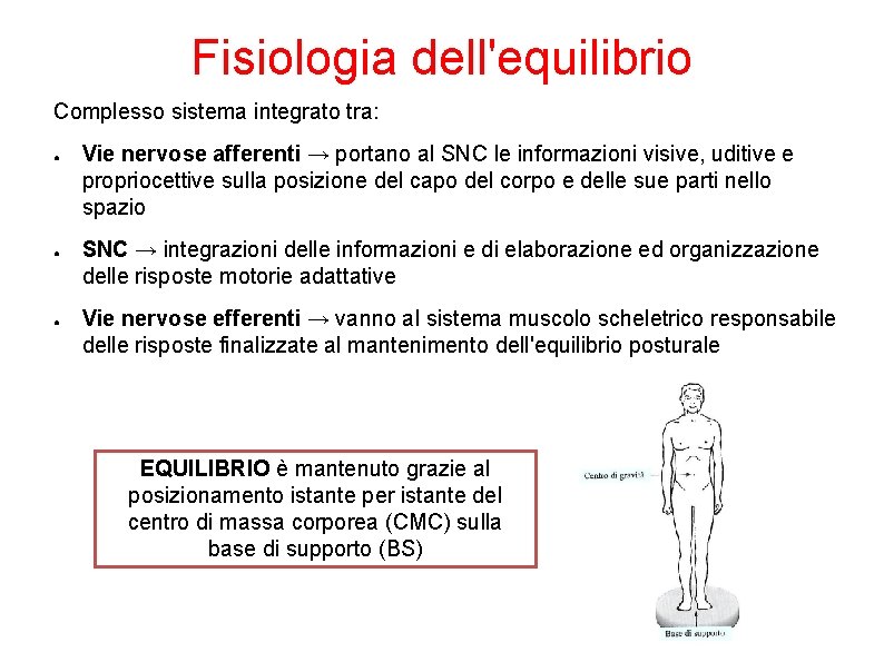 Fisiologia dell'equilibrio Complesso sistema integrato tra: ● ● ● Vie nervose afferenti → portano Fisiologia dell'equilibrio Complesso sistema integrato tra: ● ● ● Vie nervose afferenti → portano