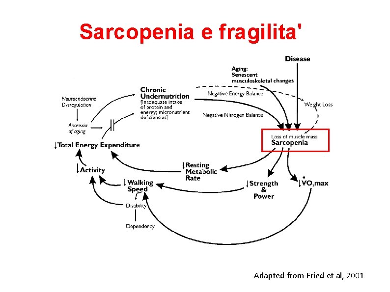 Sarcopenia e fragilita' Adapted from Fried et al, 2001 Sarcopenia e fragilita' Adapted from Fried et al, 2001