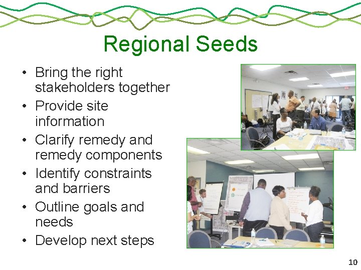 Regional Seeds • Bring the right stakeholders together • Provide site information • Clarify